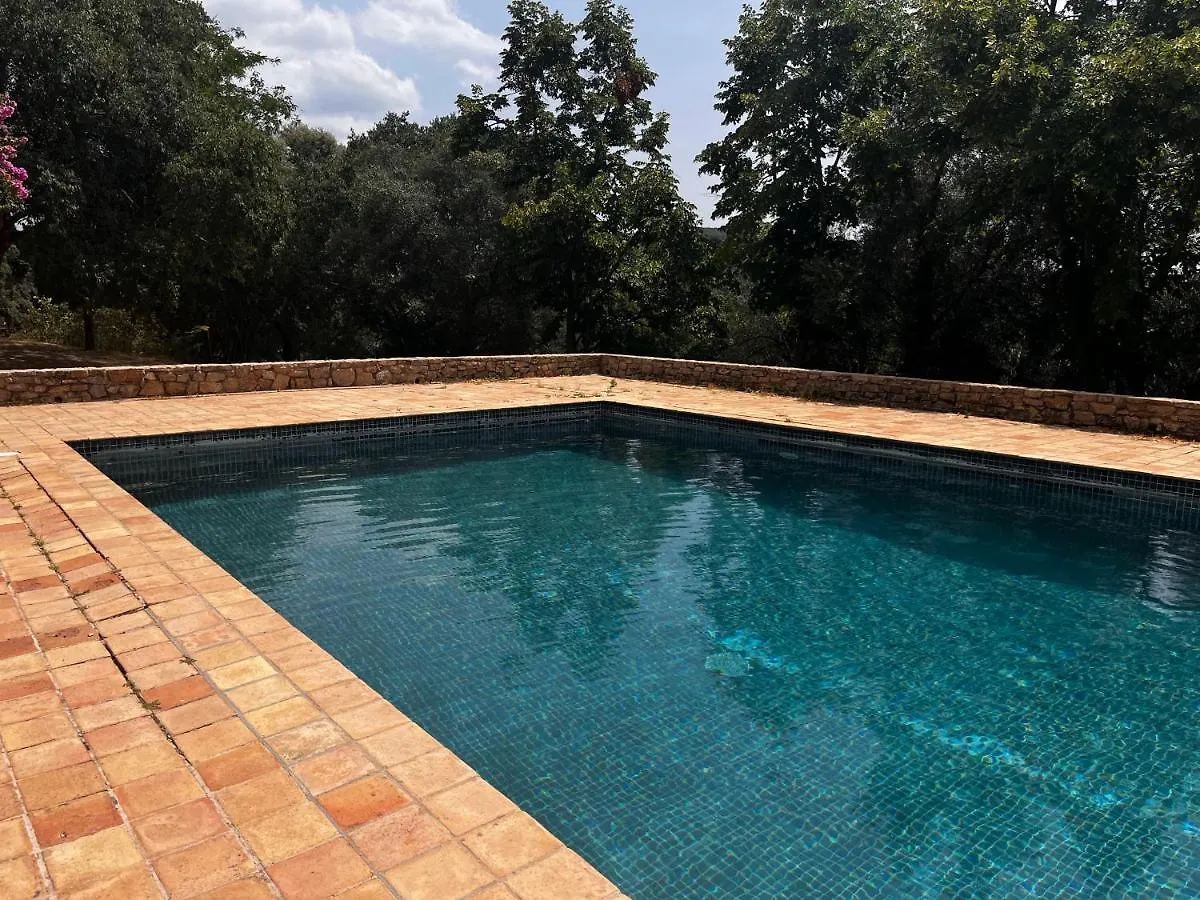 Ferienhaus Villa Mas Noguer Gerona Spanien